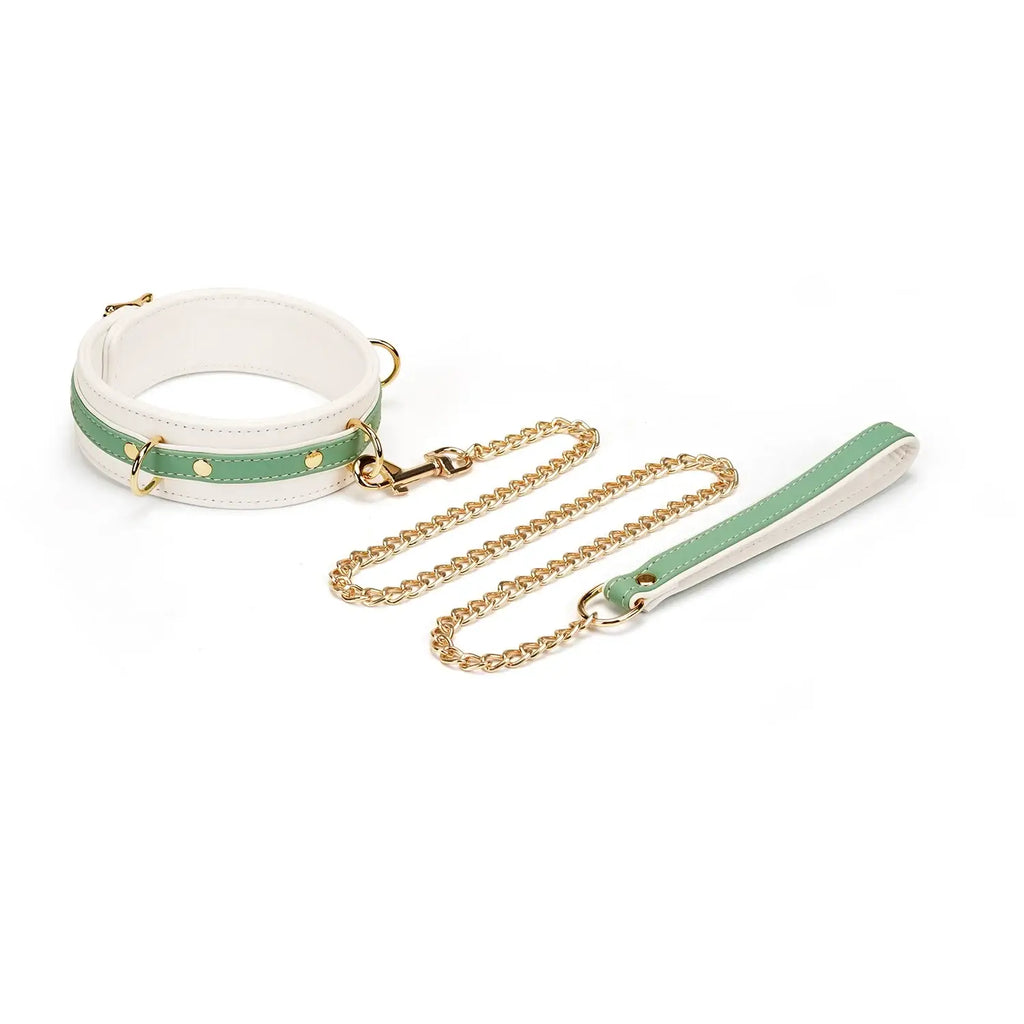 Fairy Collection Leather Collar with Leash - Mint - Restraints