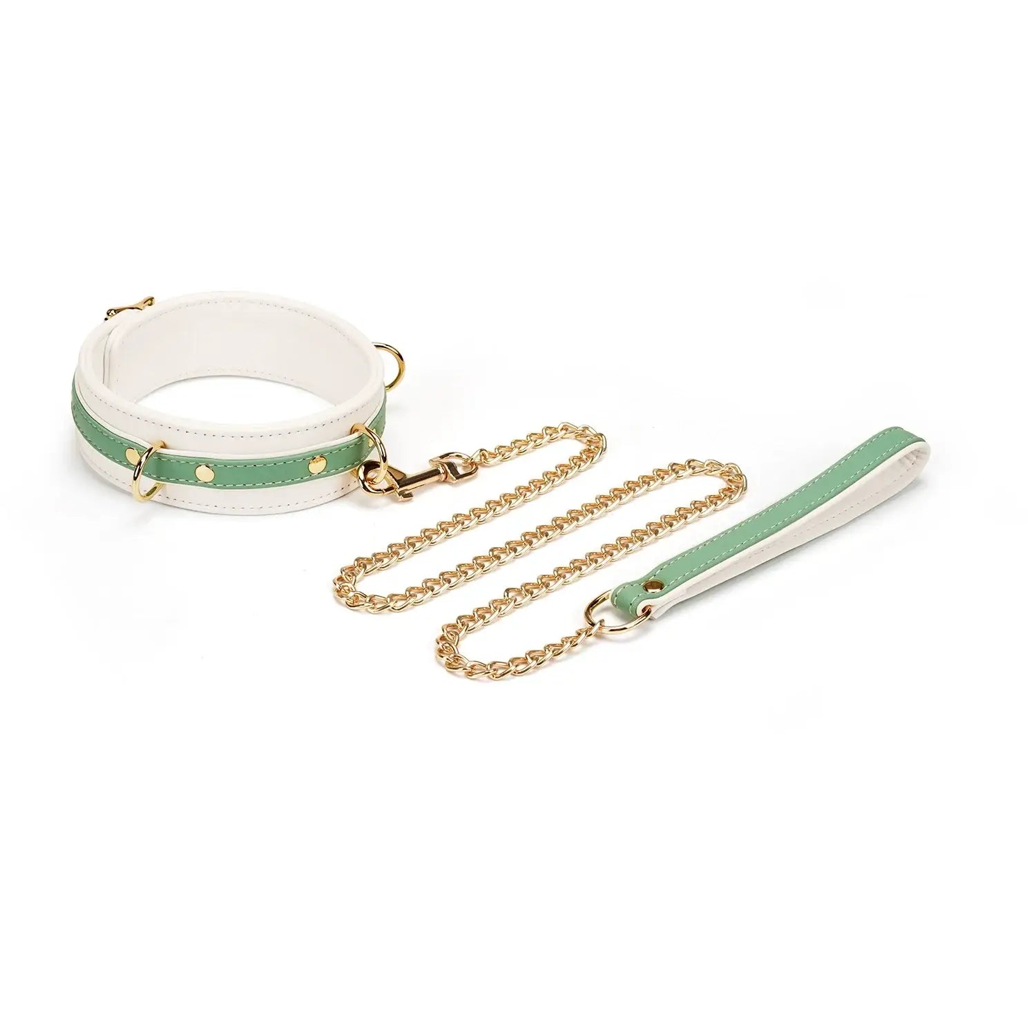 Fairy Collection Leather Collar with Leash - Mint - Restraints