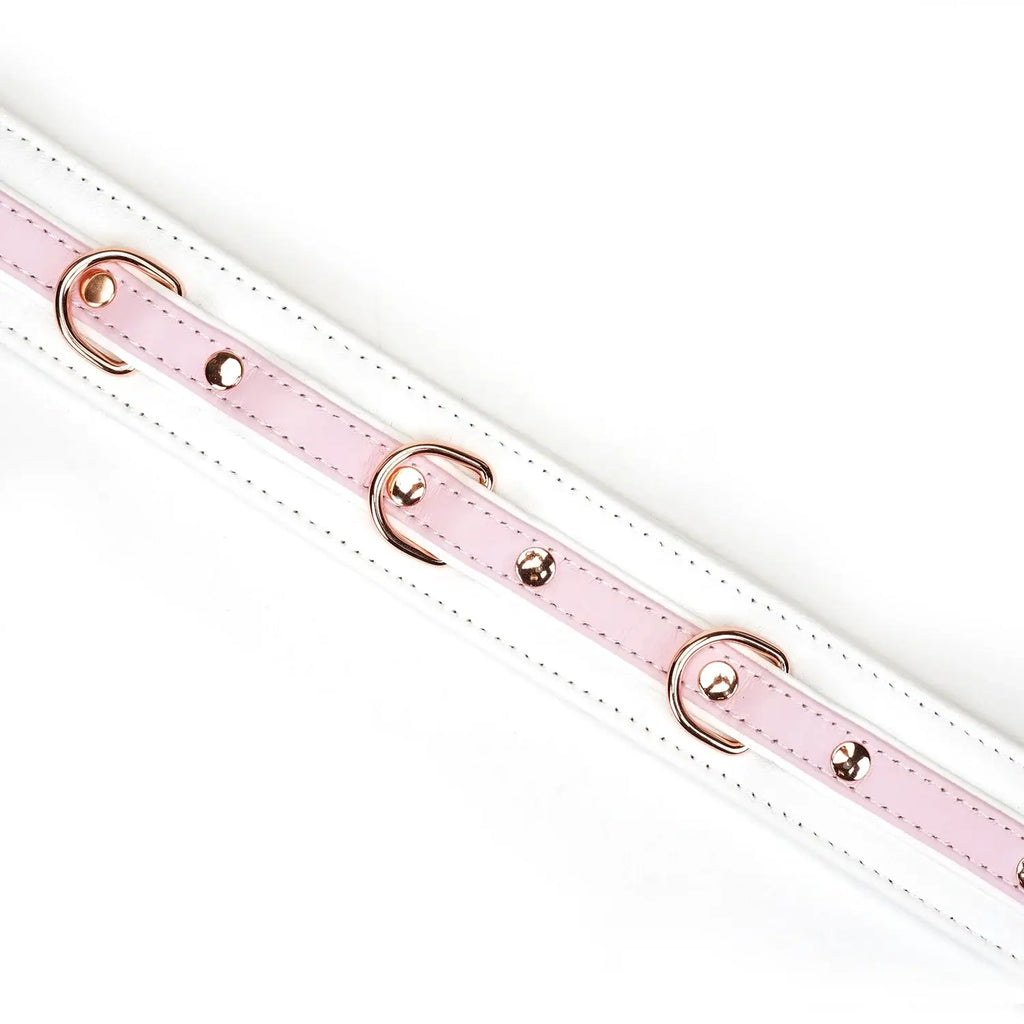 Fairy Collection Leather Collar with Leash - Restraints