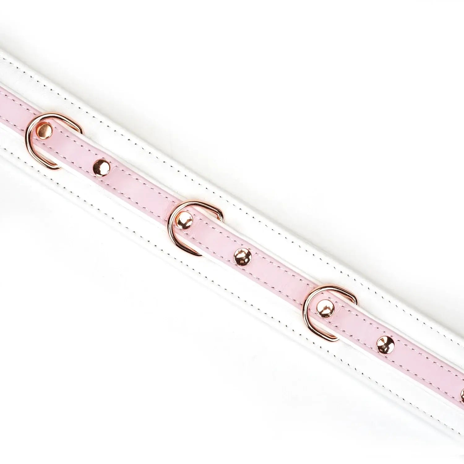 Fairy Collection Leather Collar with Leash - Restraints