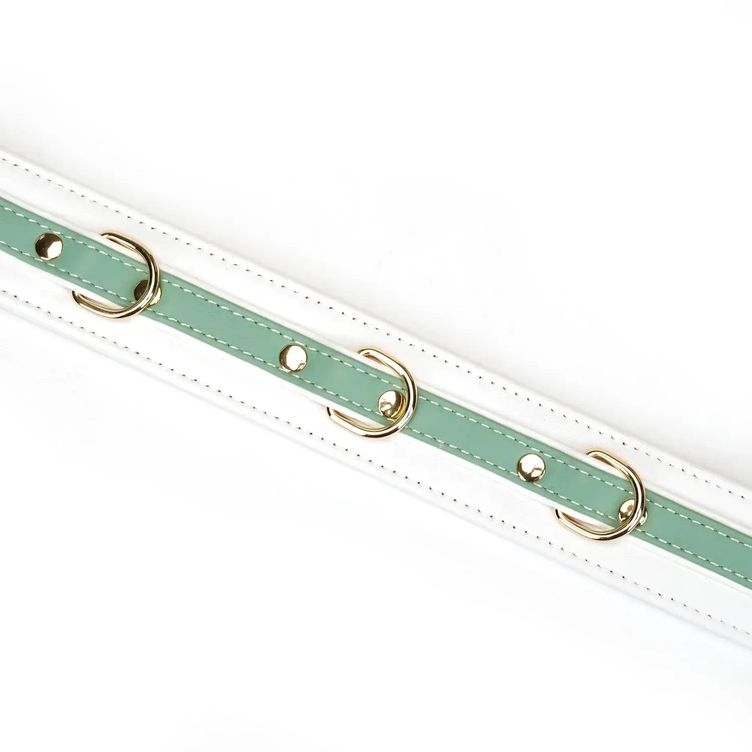 Fairy Collection Leather Collar with Leash - Restraints