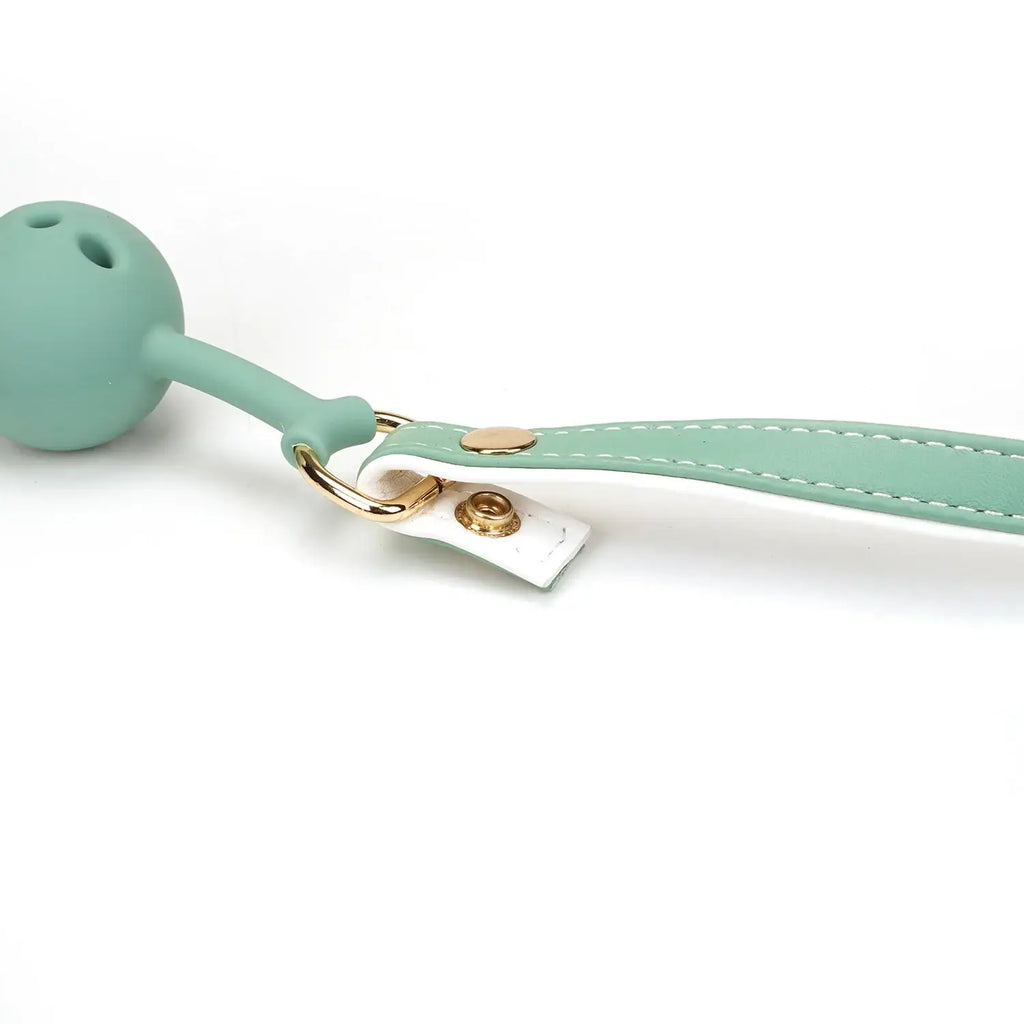 Fairy Collection Leather & Silicone Ball Gag - Gags