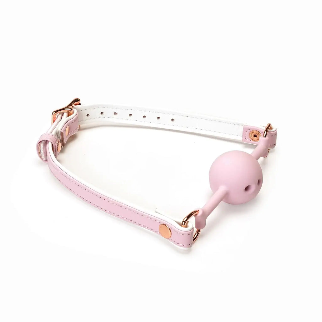 Fairy Collection Leather & Silicone Ball Gag - Pink - Gags