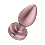 Bougie Plug Remote Vibrating