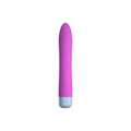 FemmeFunn Densa Bullet Vibrator - Rolik®