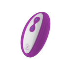 FemmeFunn Pirouette 360° Rotating Rabbit Vibrator with Remote
