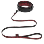 Fifty Shades of Grey Sweet Anticipation Collar & Lead - Rolik®