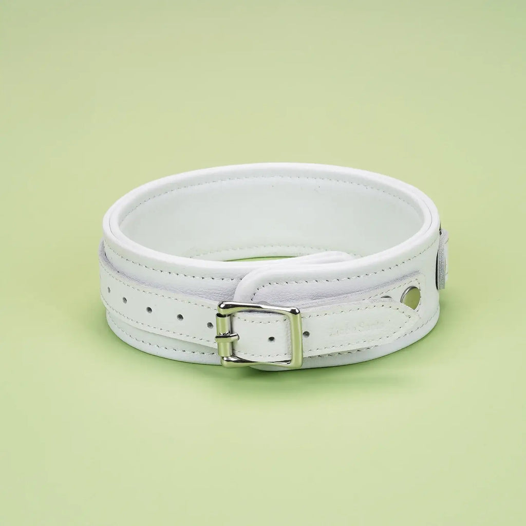 Fuji White Collection Leather Collar with Leash - Restraints