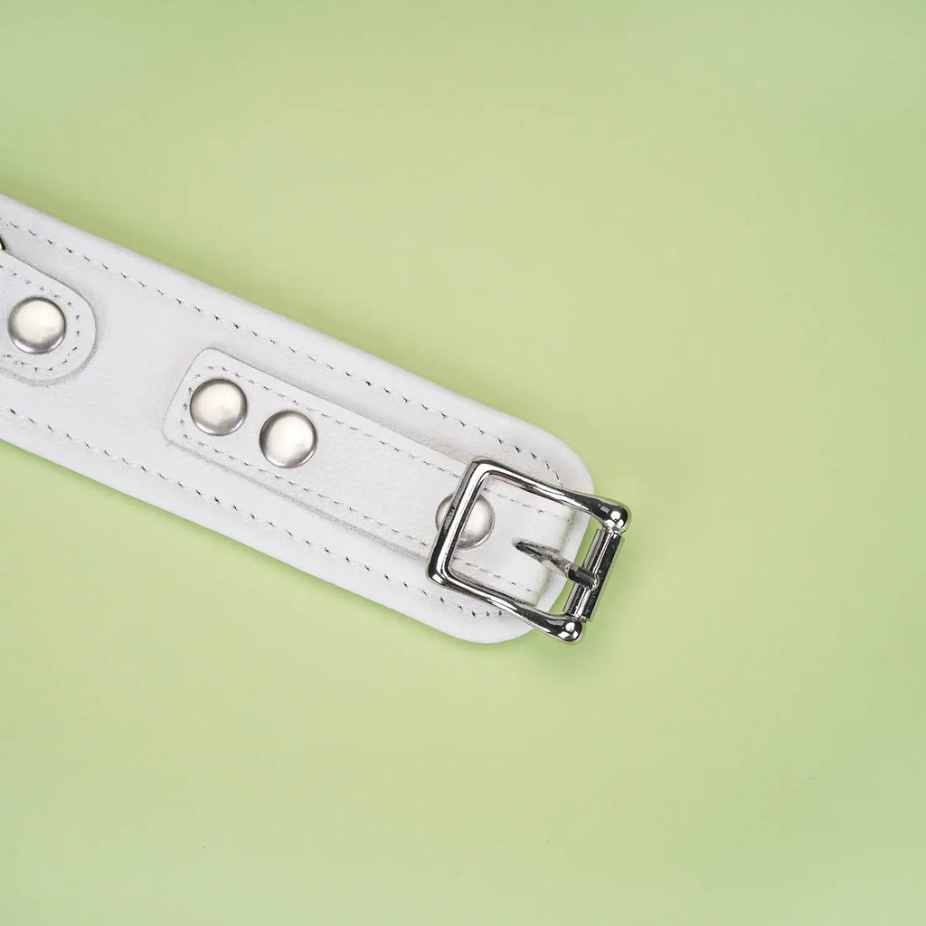 Fuji White Collection Leather Collar with Leash - Restraints