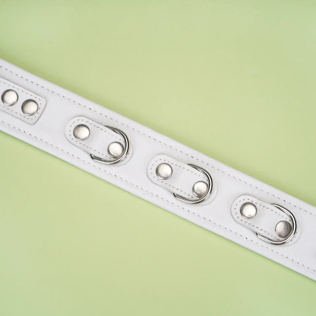 Fuji White Collection Leather Collar with Leash - Restraints