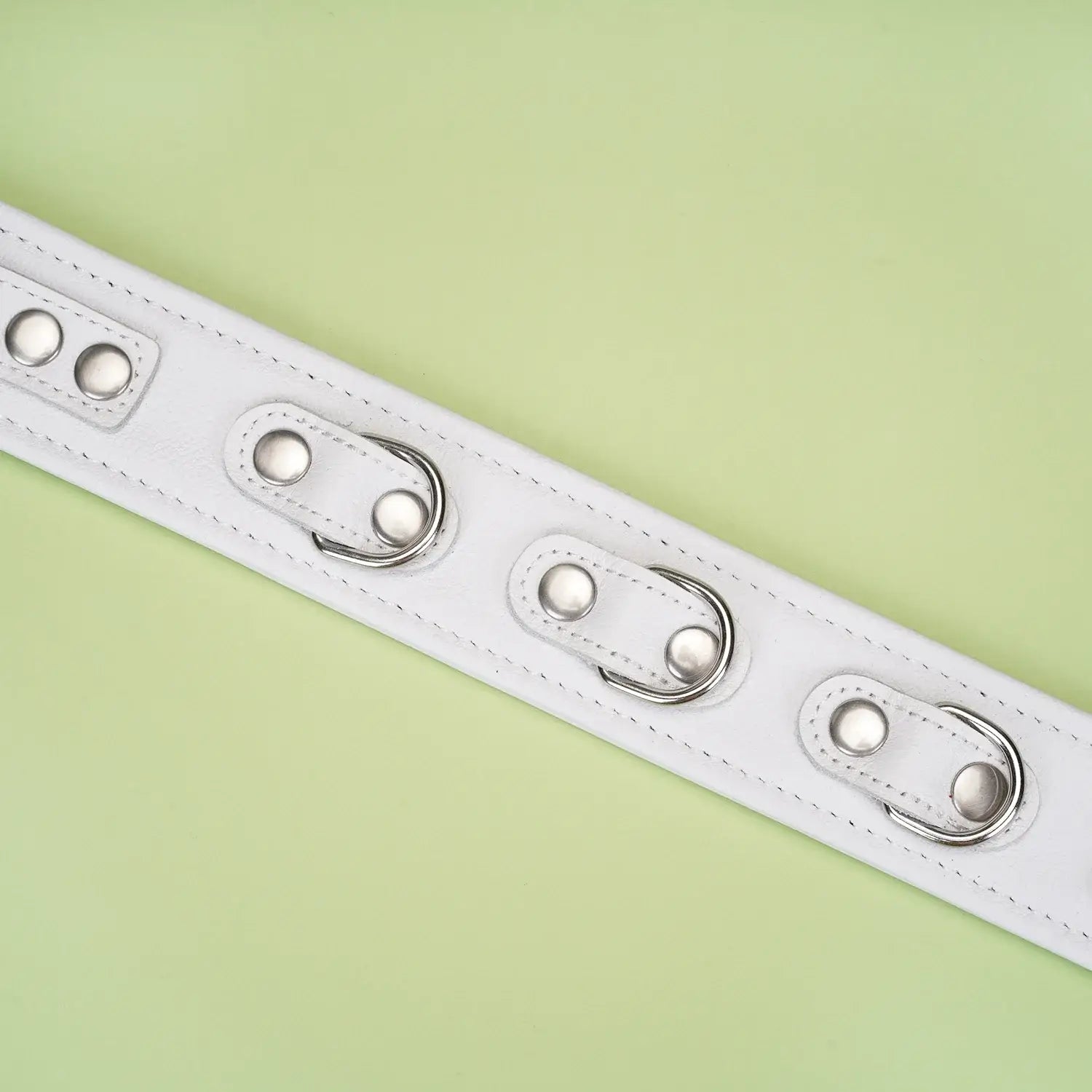 Fuji White Collection Leather Collar with Leash - Restraints