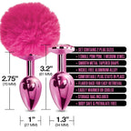 Nixie Metal Butt Plug Set