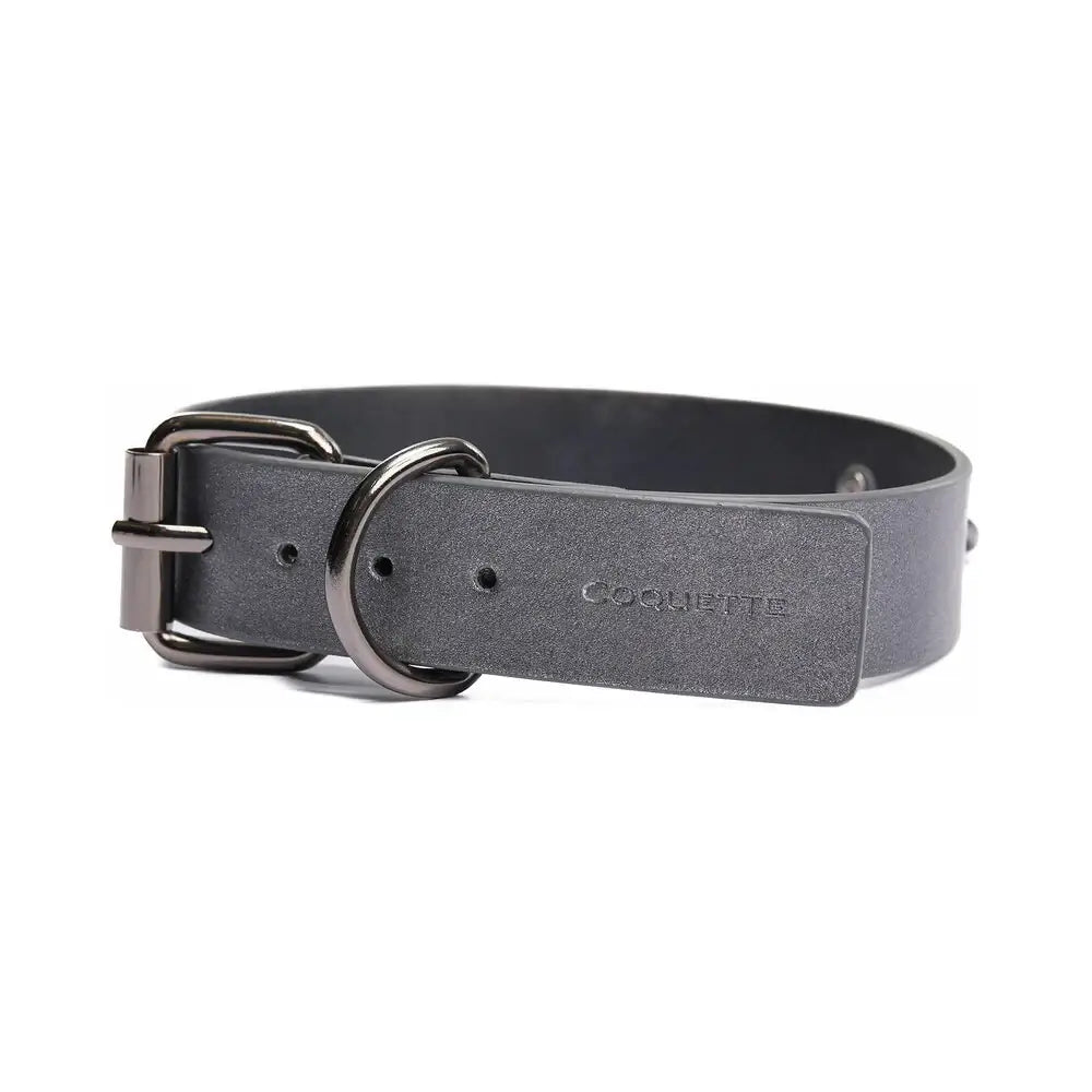 Gunmetal Glam Pleasure Collar & Leash