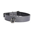 Gunmetal Glam Pleasure Collar & Leash