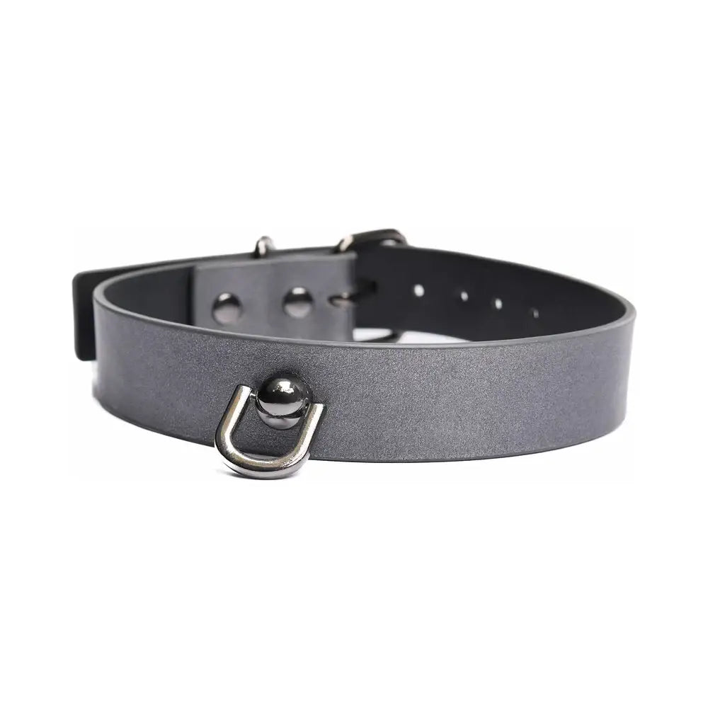 Gunmetal Glam Pleasure Collar & Leash