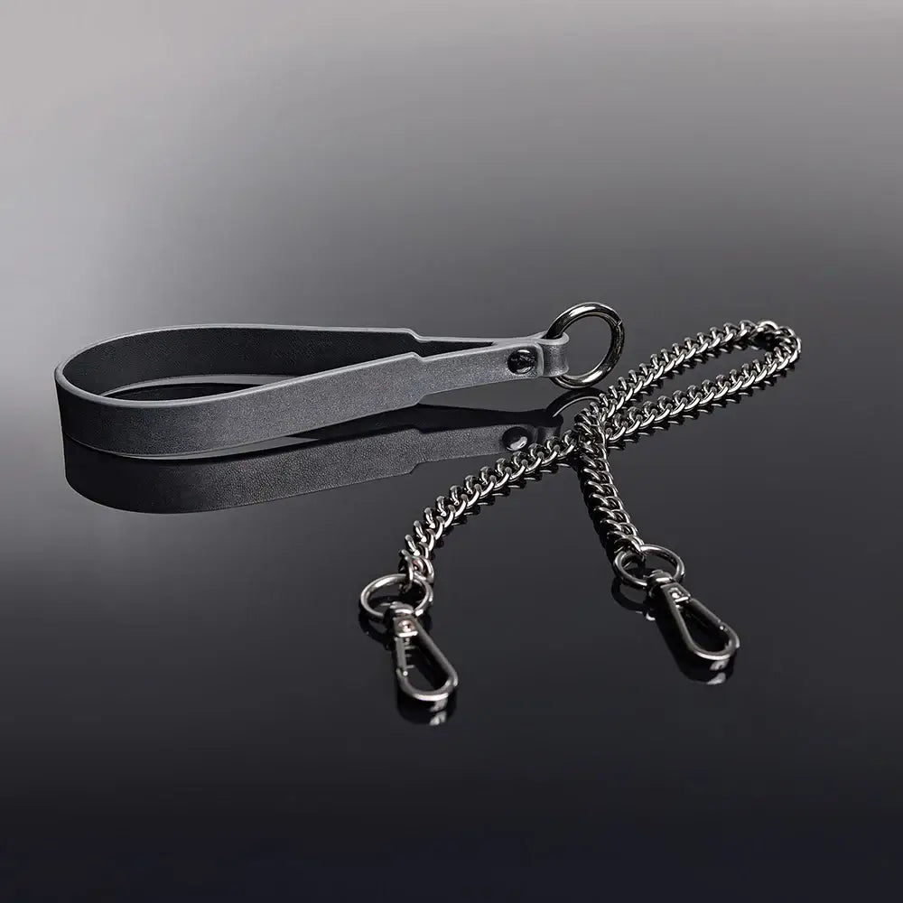 Gunmetal Glam Pleasure Collar & Leash