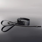 Gunmetal Glam Pleasure Collar & Leash