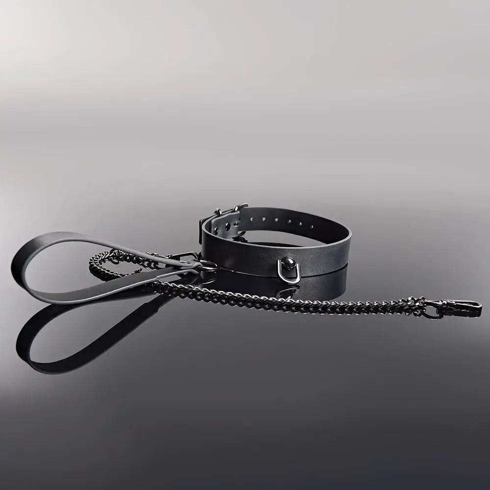 Gunmetal Glam Pleasure Collar & Leash