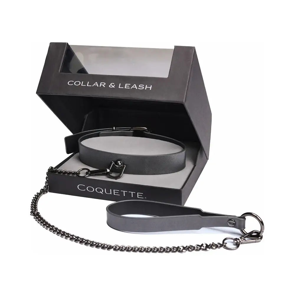 Gunmetal Glam Pleasure Collar & Leash