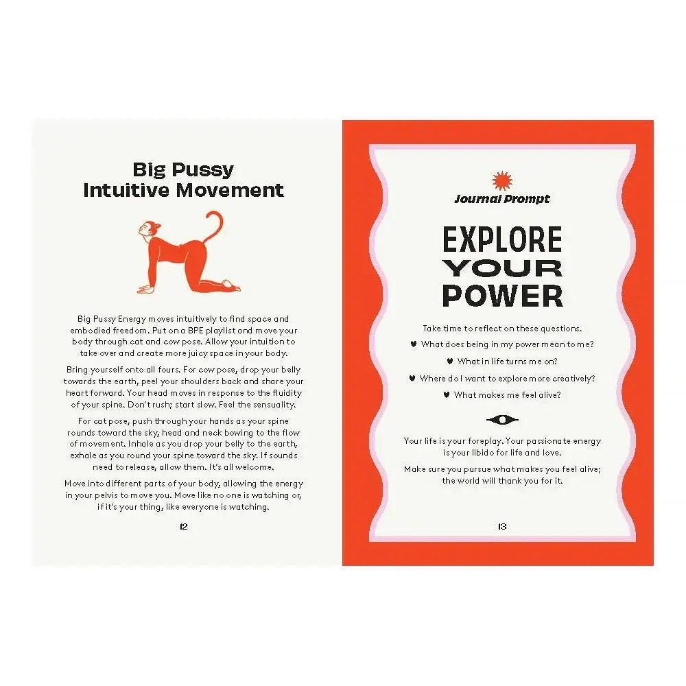 Hachette Book Group Big Pussy Energy: Fire Up Your Fierce Femme Power by Vanessa Muradian