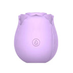 Rosales Sucking Vibrator - Rolik®