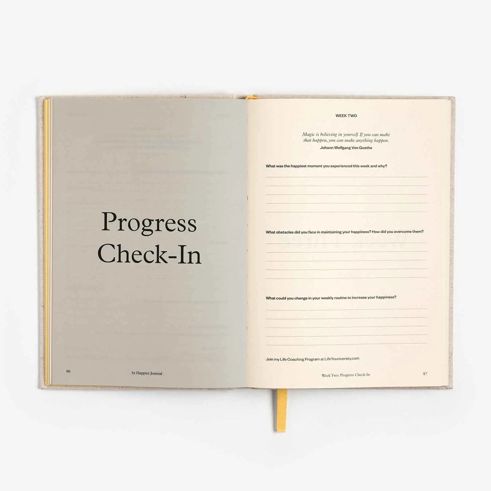 Open book with 'Progress Check-In' on a white background