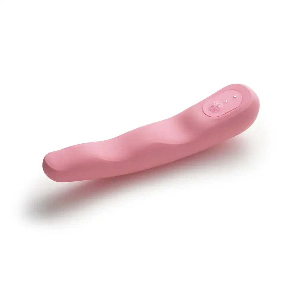 Iroha Minamo Vibrator