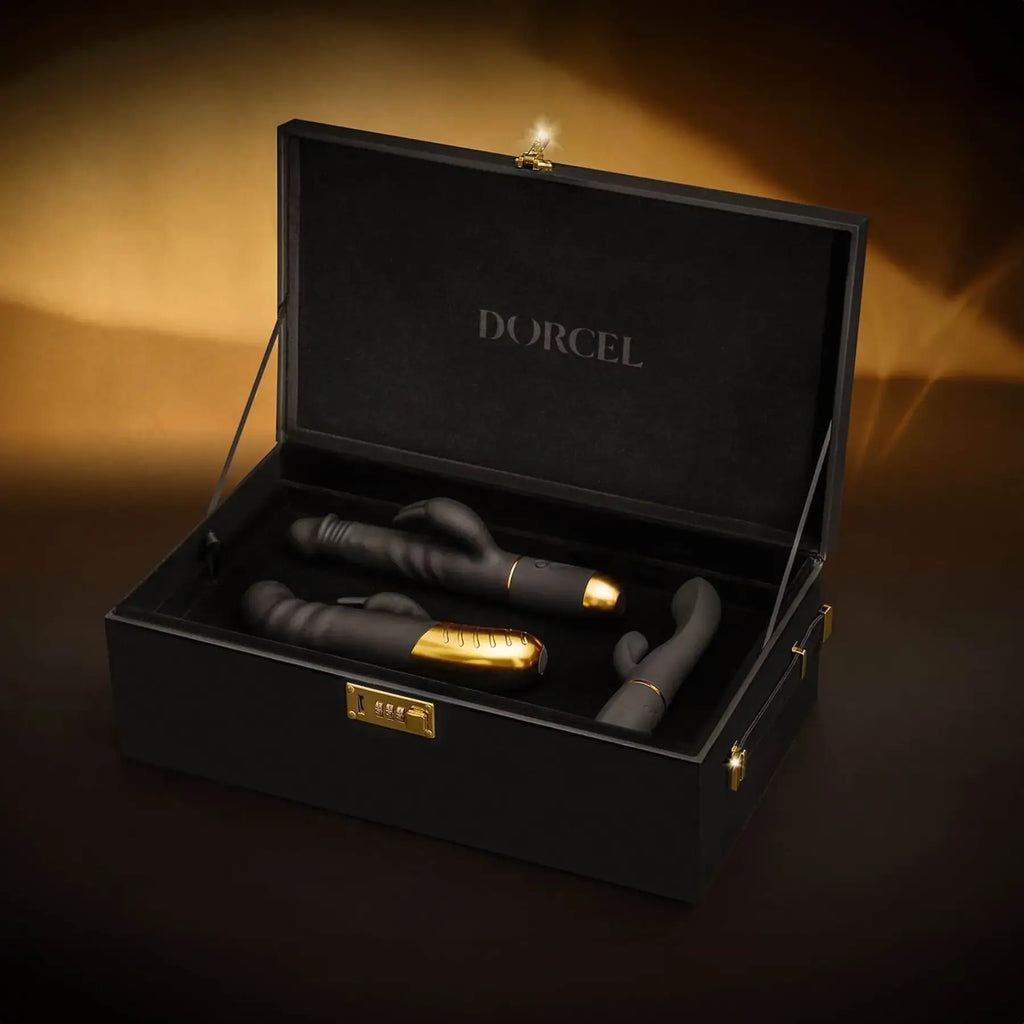 Le Coffret Prestige Edition Built-in Combination Lock Storage Box - Black