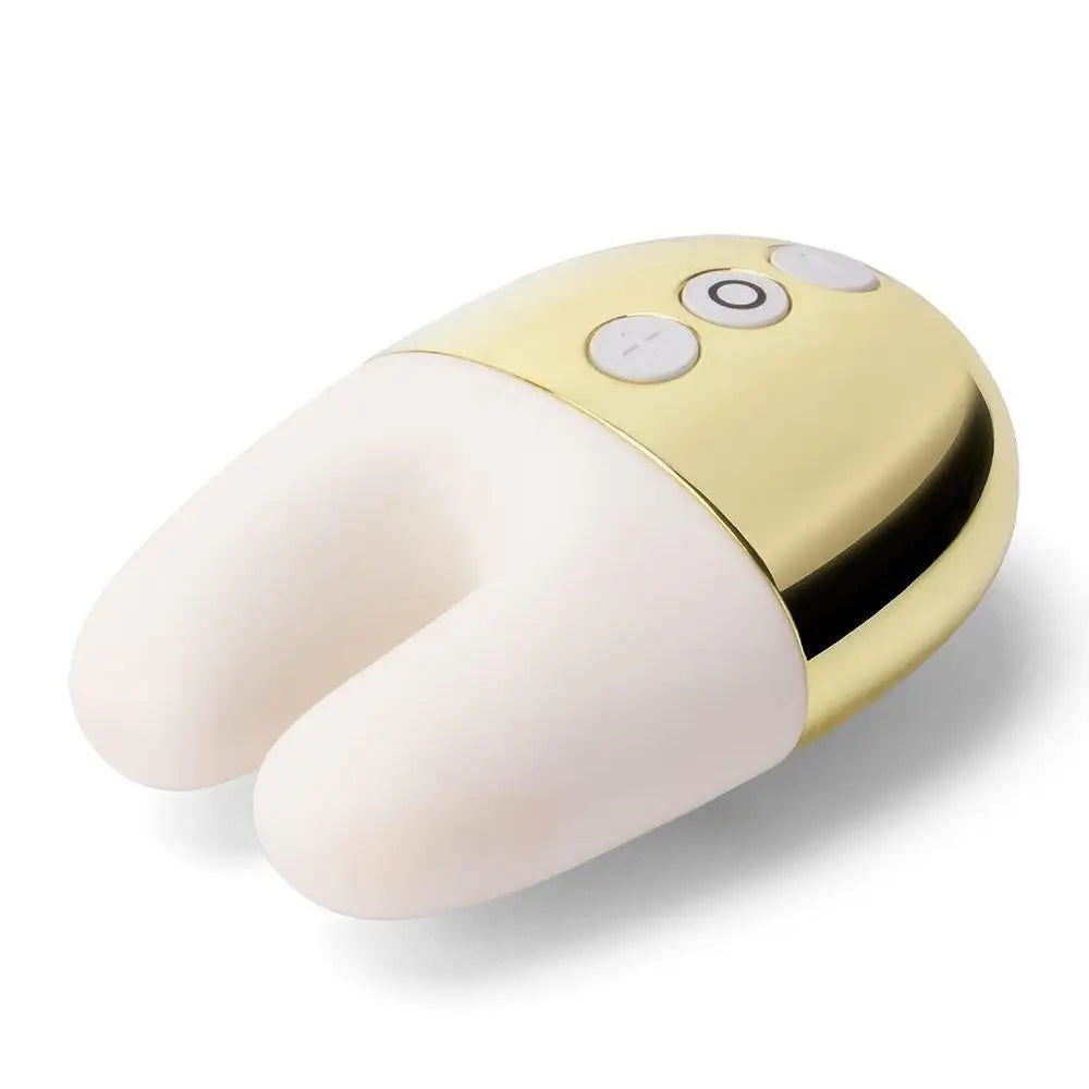 Double Vibrator