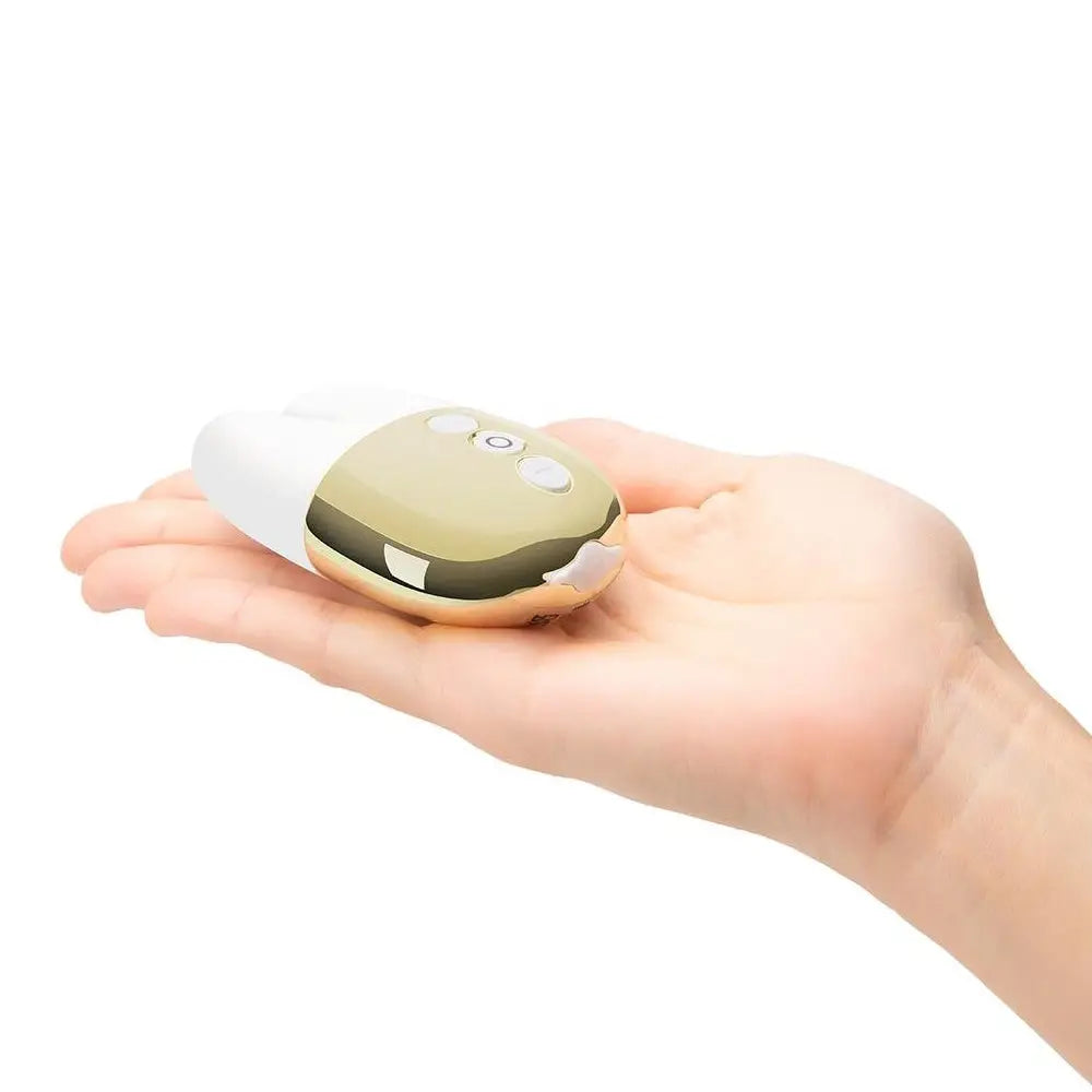 Double Vibrator