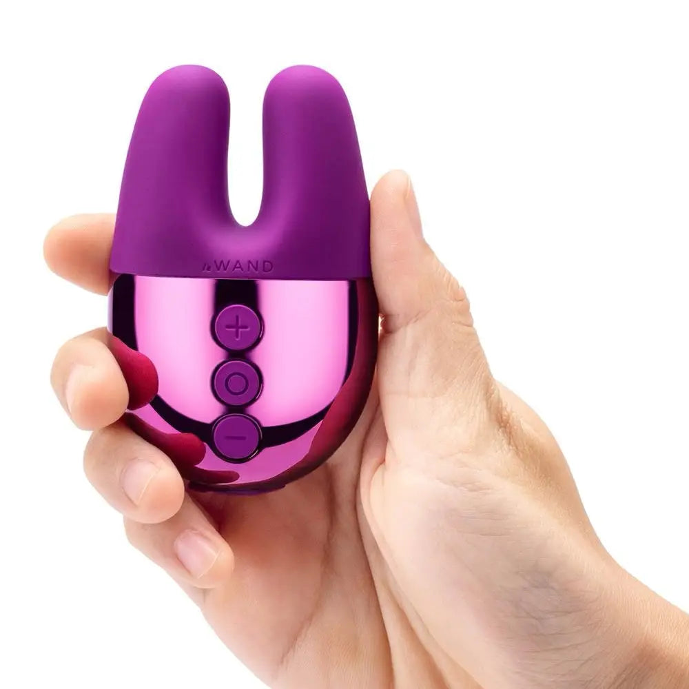 Double Vibrator