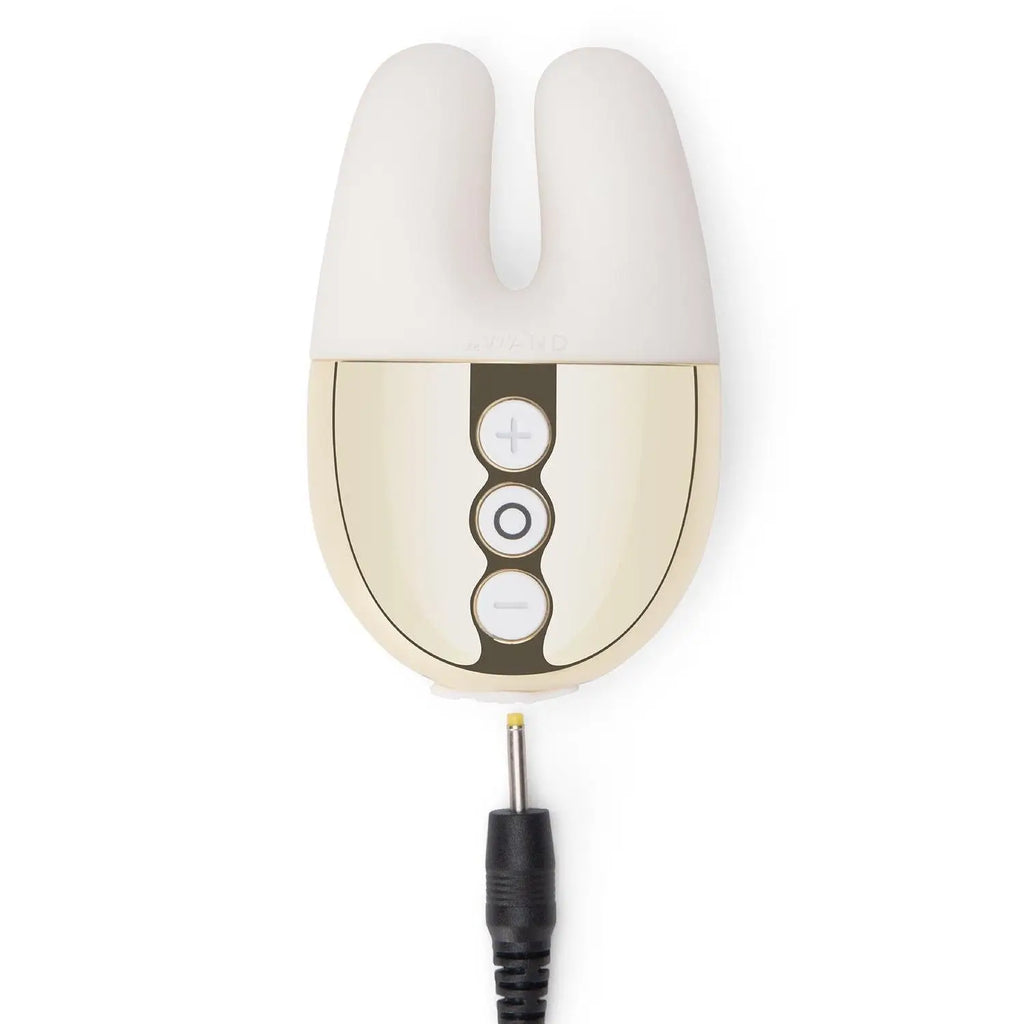 Double Vibrator