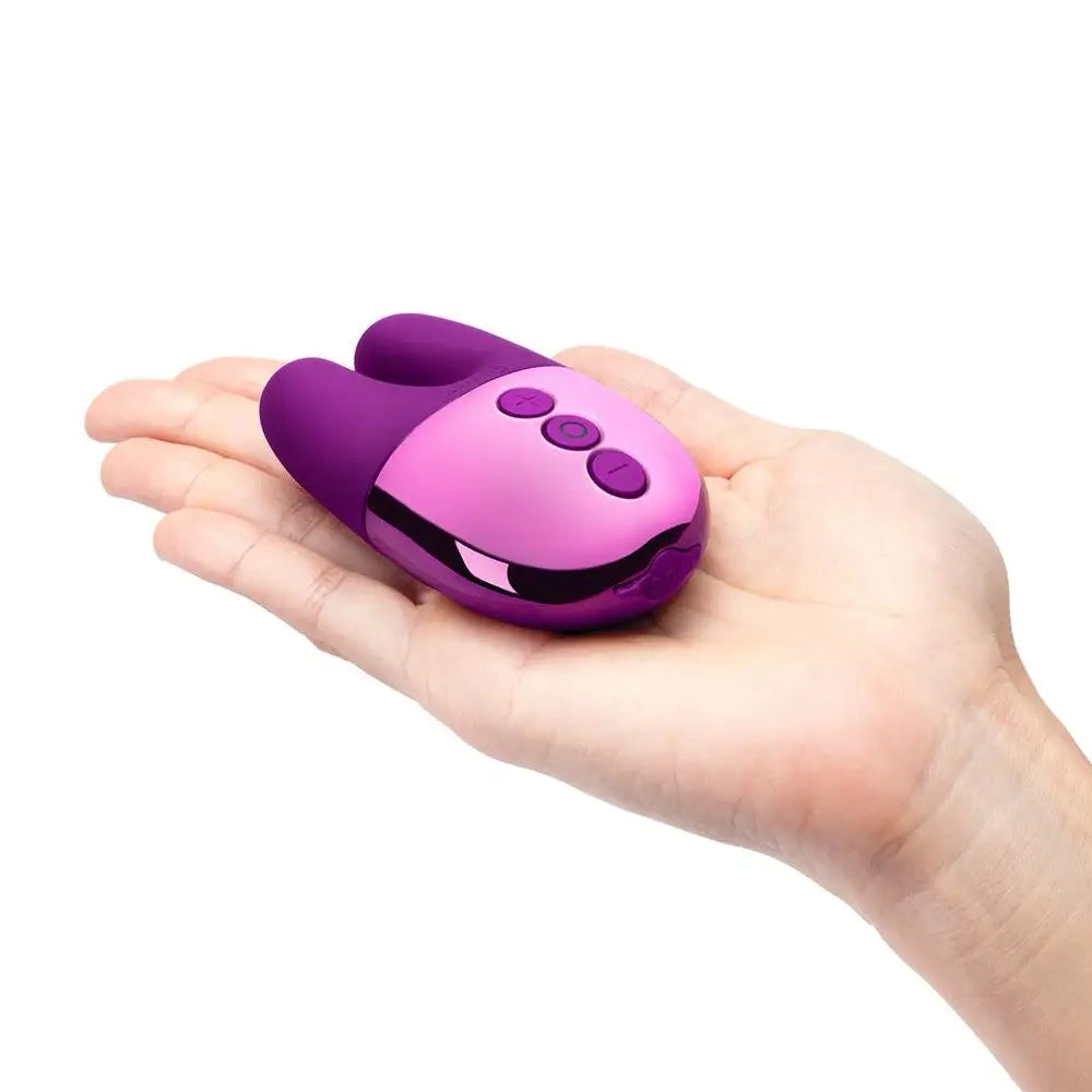 Double Vibrator