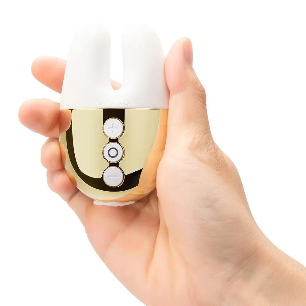 Double Vibrator