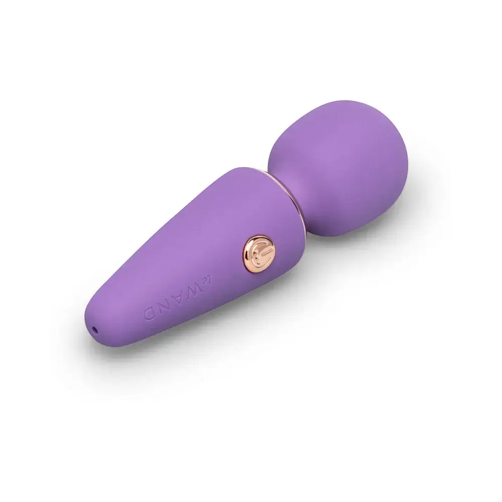 Le Wand Mini Micro Vibrator