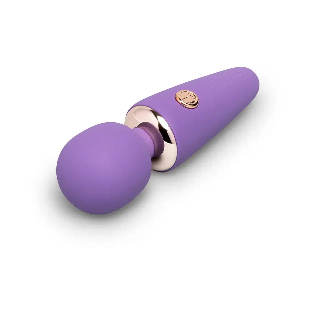 Le Wand Mini Micro Vibrator