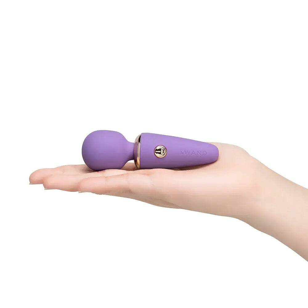 Le Wand Mini Micro Vibrator
