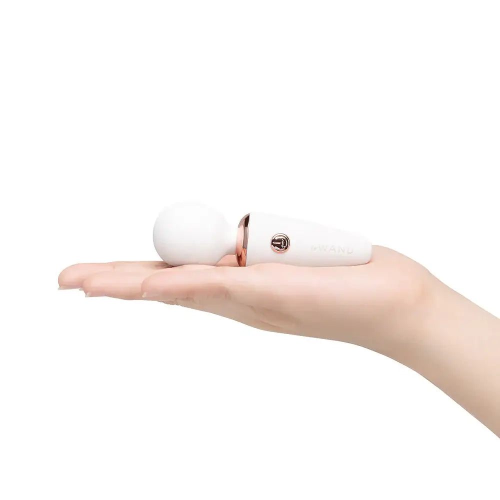 Le Wand Mini Micro Vibrator