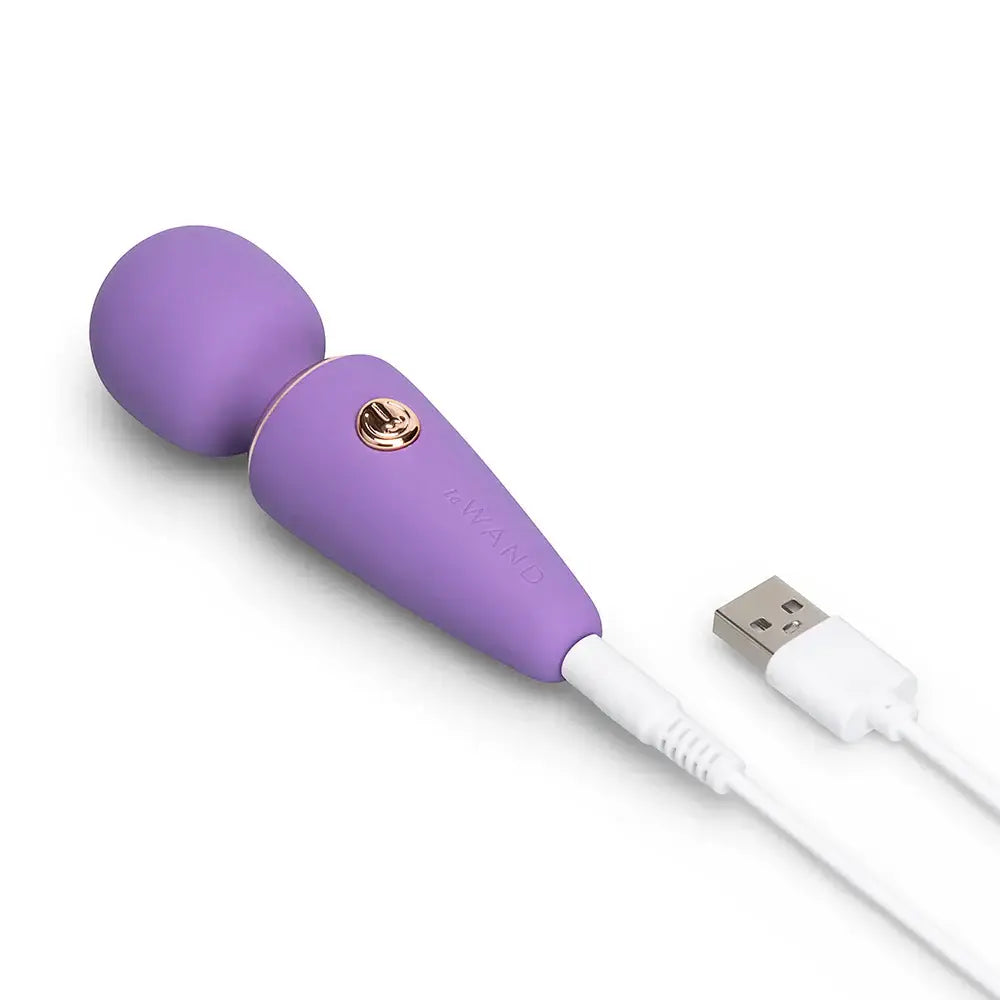 Le Wand Mini Micro Vibrator