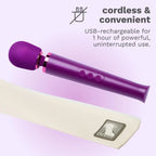 Le Wand Petite Rechargeable Vibrator