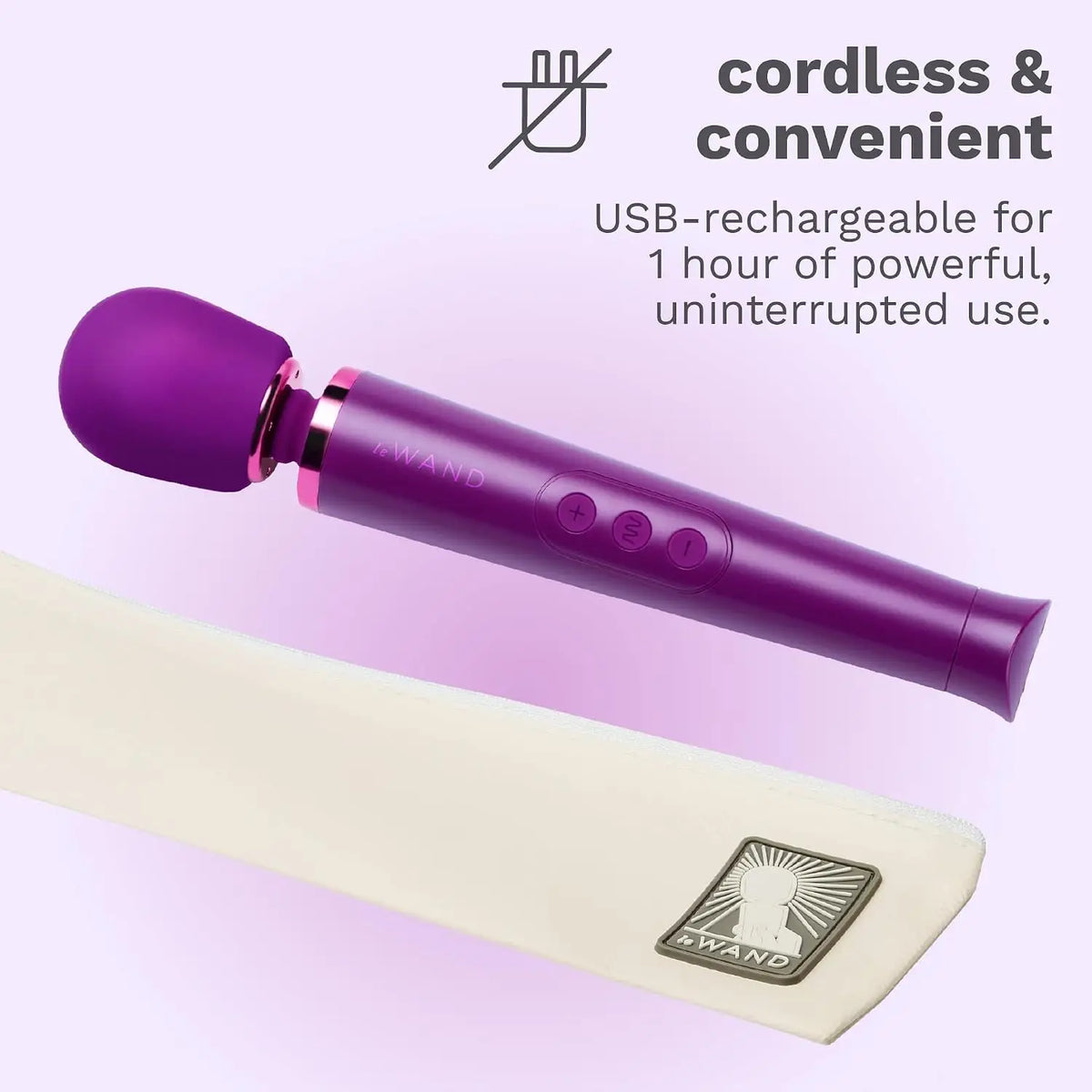 Le Wand Petite Rechargeable Vibrator
