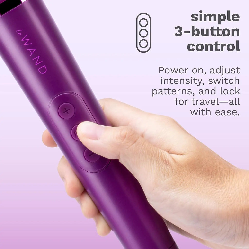 Le Wand Petite Rechargeable Vibrator