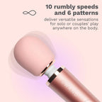 Le Wand Petite Rechargeable Vibrator