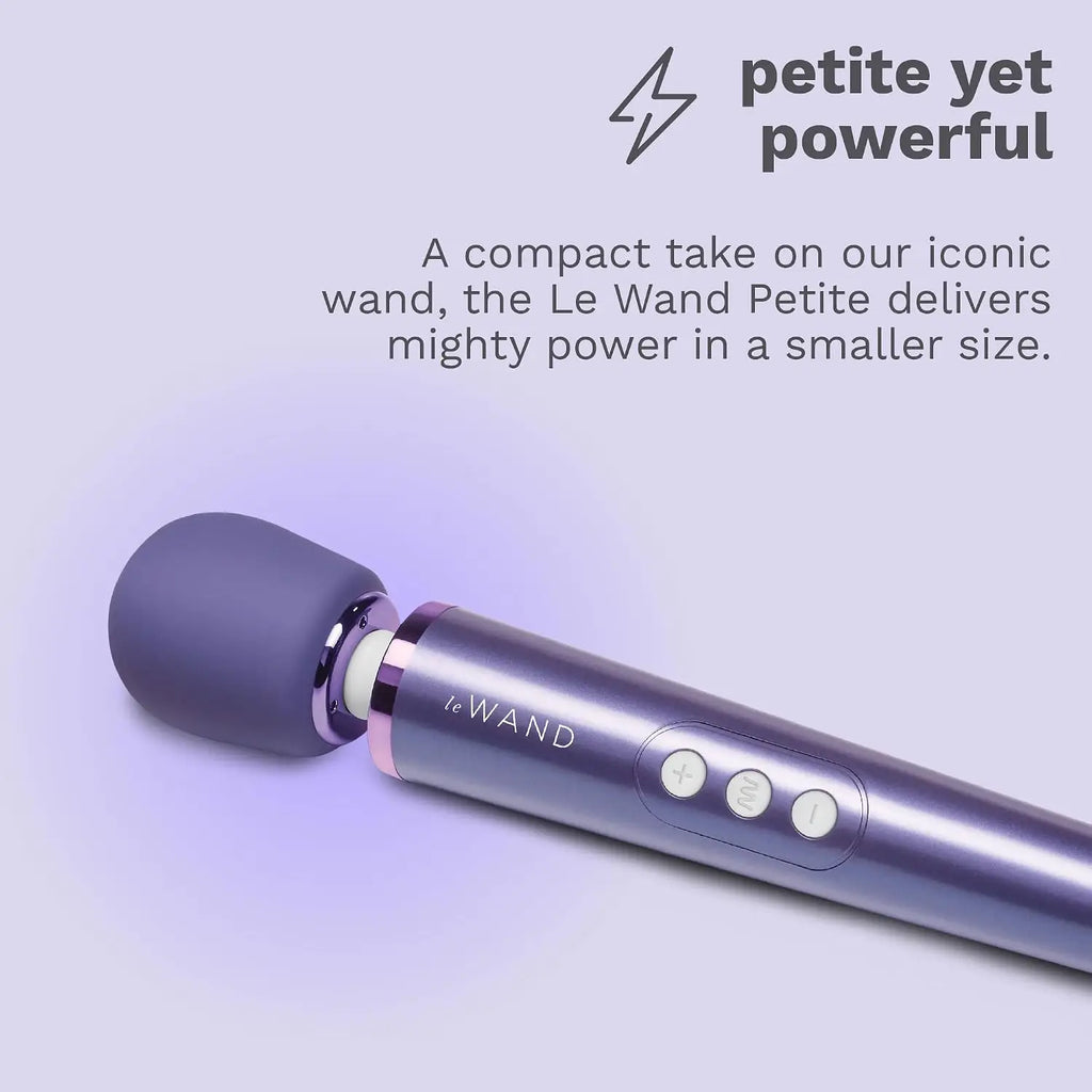 Le Wand Petite Rechargeable Vibrator