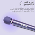 Le Wand Petite Rechargeable Vibrator