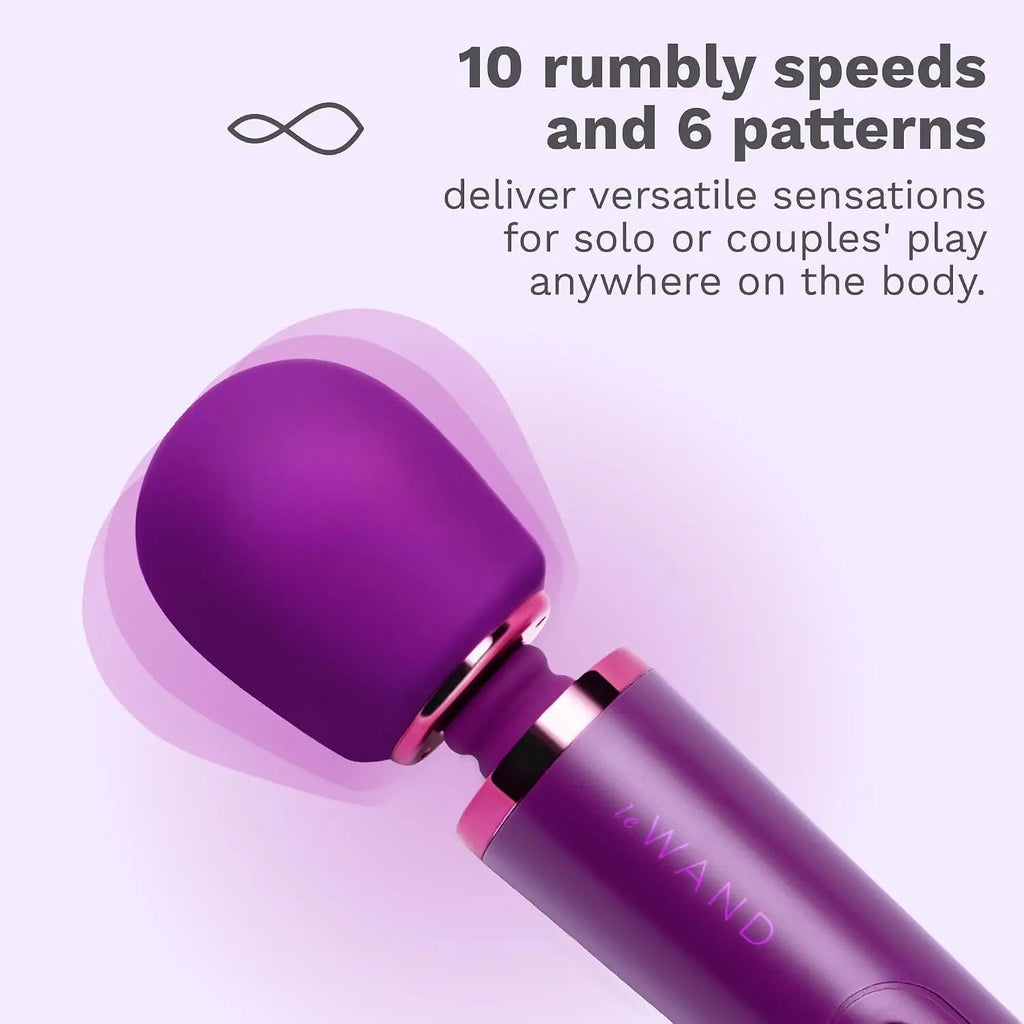 Le Wand Petite Rechargeable Vibrator