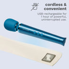 Le Wand Petite Rechargeable Vibrator