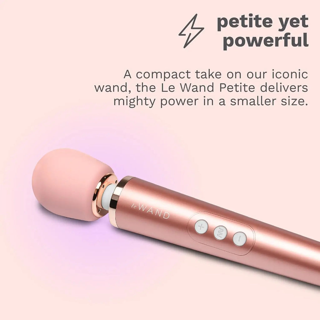 Le Wand Petite Rechargeable Vibrator