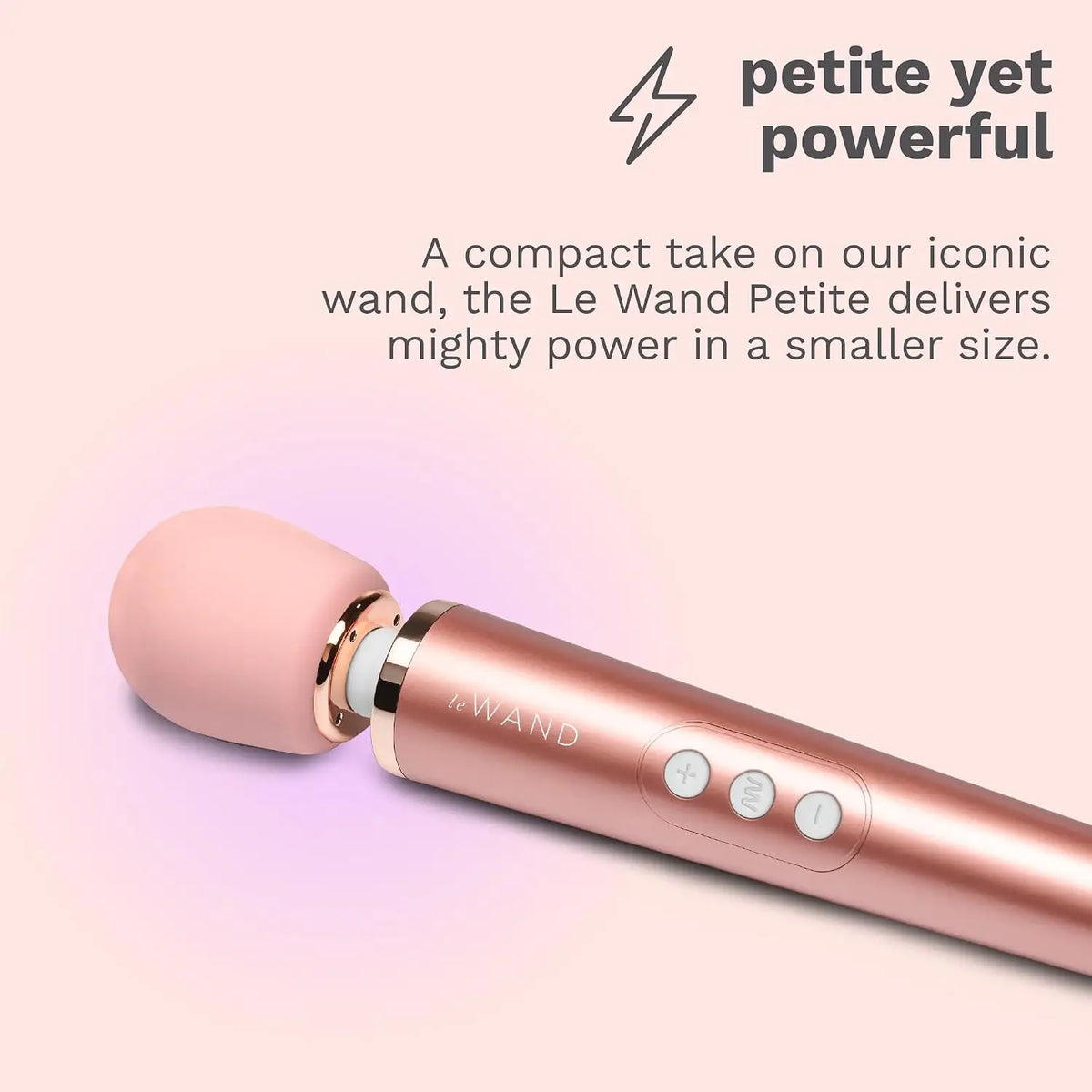 Le Wand Petite Rechargeable Vibrator