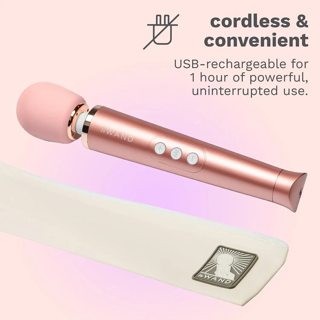 Le Wand Petite Rechargeable Vibrator